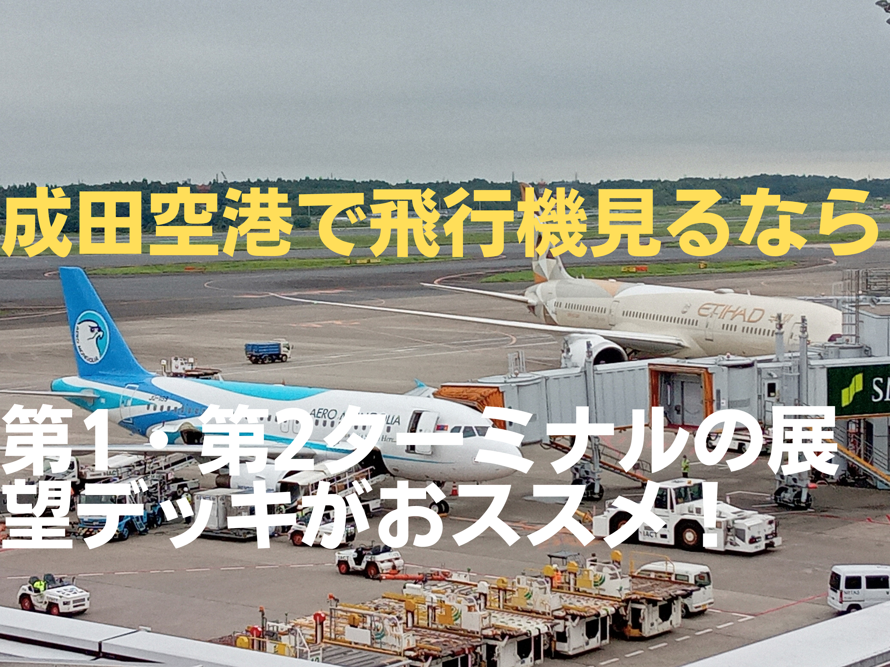 成田空港で飛行機見るなら、第1・第2旅客ターミナルの展望デッキがおススメ！ | おバカンス！