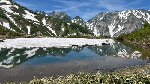 6月の八方池と白馬三山