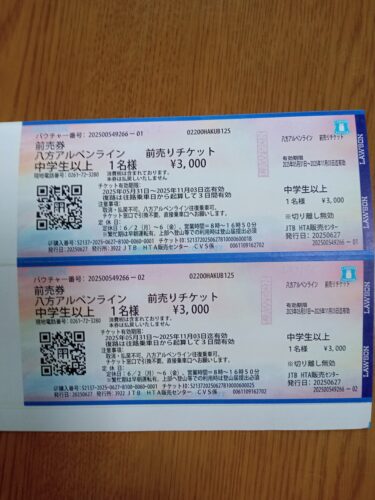 八方アルペンラインゴンドラチケット